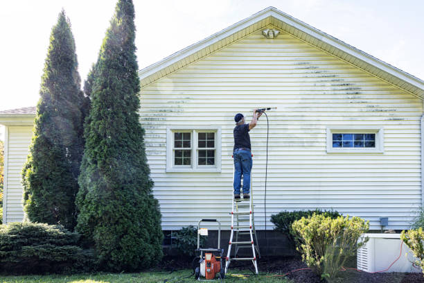 Best Rust Removal  in Humboldt Hill, CA